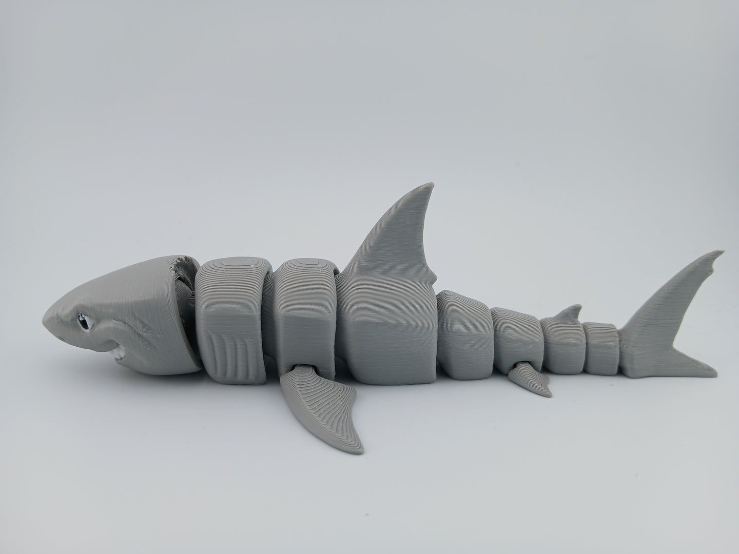 Great White Shark